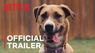 Inside the Mind of a Dog  Official Trailer  Netflix