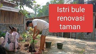 ISTRI BULE renovasi taman sama coba makan gorengan di jalan.