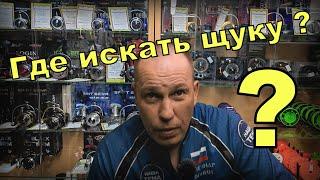 Где искать щуку на озере и на пруду ? Места стоянки рыбы