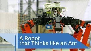 Antbot   CNRS in English