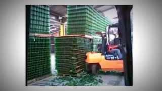 How to get OSHA Forklift Certification & Training - Ferrari Driving School