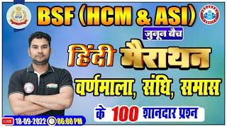 BSF Hindi Marathon Class  वर्णमाला संधि समास Top 100 Questions Class  BSF HCM & ASI Hindi #15