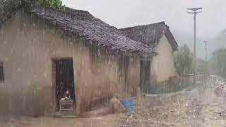 heavy rain sounds for sleeping instanly nature in village 2024