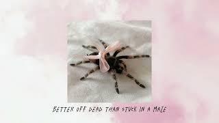 Melanie Martinez - SPIDER WEB wlyrics Sped up + Pitched