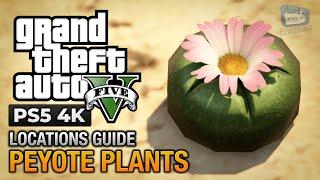 GTA 5 PS5 - Peyote Plants Location Guide Play as an Animal