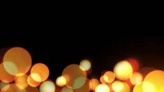 Golden Bokeh Video Motion Footage Free Download No Copyright