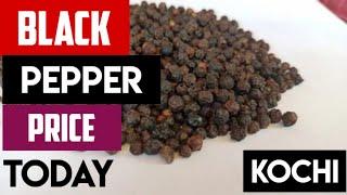 BLACK PEPPER SPOT MARKET PRICE IN KARNATAKA TODAY  ಮೆಣಸಿನ ದರ