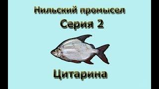 Русская Рыбалка 3.99 Russian Fishing Нильский промысел 2 - Цитарина