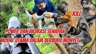 Geng Lutung‼️Bersimbah DarahPemburu Bunuh Hama monyet Dengan Senapan FX