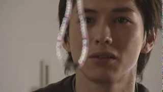 Kamen rider kabuki in kamen rider faiz