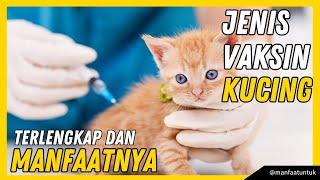 8 Jenis VAKSIN KUCING Terlengkap dan Manfaatnya