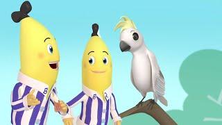 The Talking Bird...  Bananas in Pyjamas Season 1  Full Episodes  Bananas In Pyjamas