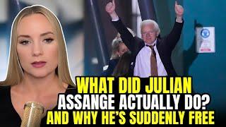 Why the Government Hates Julian Assange