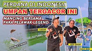 TERBARU  UMPAN IKAN MAS JITU MANCING BERSAMA PELAWAK LEGEND INDONESIA SAMPE DOUBLE STRIKE