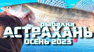 Рыбалка Астрахань 2023 Осень  Рыбалка на реках Волга Ахтуба
