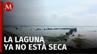 Laguna de Zumpango al 65% de llenado tras estar completamente seca en marzo Conagua