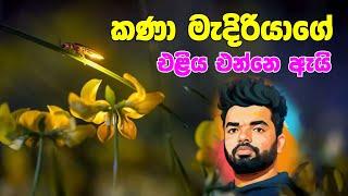 කණාමැදිරියාගේ එළිය එන්නේ ඇයි.. ? කොහොමද ඉපදෙන්නේ ?  secret of fireflies  Suranga Karunanayaka