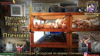 Утепляем Потолок в Птичнике Маленькая Экскурсия по Моему Птичнику