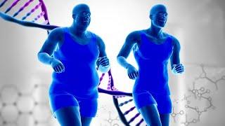 Extremely Powerful Fat Burn Frequency Try Listening For 24 Min Your Body Will Have Clear Changes
