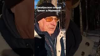 Декабрьское солнце.Всех с наступающим Новым годом. Привет Мурманску.