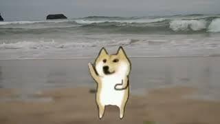 1 Hour Happy Dog Dancing On A Beach With Ambient Music