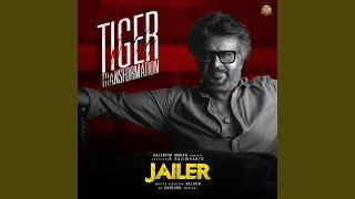 Tiger Transformation From Jailer