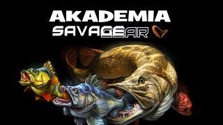 Akademia SavageGear 5 - Fat T-Tail Minnow.