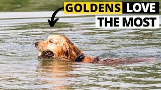 9 Things Golden Retrievers Love the Most