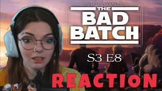 The Bad Batch S3 Ep8 Bad Territory - REACTION