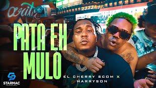 El Cherry Scom x Harryson -  Pata Eh Mulo Video Oficial