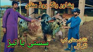 Maweshi Mandi Ring Road Peshawar Latest Updates Rates High Or Low Cow mandi Pakistan Bakra Eid 2024