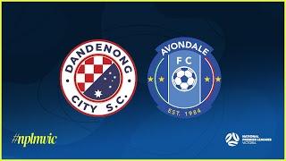 2024 NPLMVIC Round 14 Dandenong City SC v Avondale FC