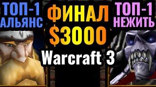 Happy vs Romantic Новая Эра для Альянса? Всё меняется в Warcraft 3 Финал турнира за $3000