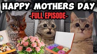 CAT MEMES THE MOTHERS DAY ROADTRIP