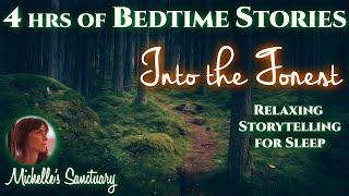 4 HRS Continuous Relaxing Stories for Sleep  INTO THE FOREST  Cozy Bedtime Stories for Grown-Ups