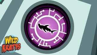 Hammerhead Shark Transformation  Cartoons for Kids  Wild Kratts