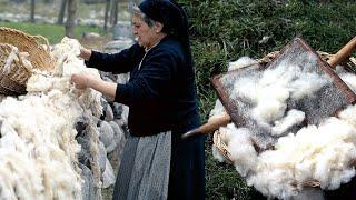 Wool in the Pyrenees. Sheep shearing carding and craftsmanship of garments  Documentary film