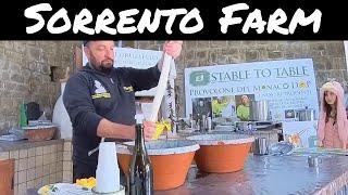 Sorrento Farm by tuk tuk  Cheese Limoncello & hands on pizza