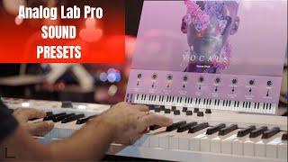 Arturia Analog Lab Pro Presets