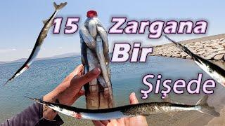 Garfish Hunt  Fish in a Bottle