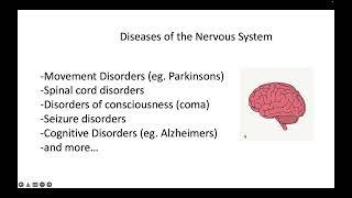 Disease Classification