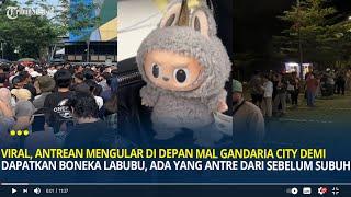 Viral Antrean Mengular di Depan Mal Gandaria City Demi Dapatkan Boneka Labubu Dari Sebelum Subuh