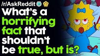 Whats a Horrifying Fact that shouldnt be true but is? rAskReddit Reddit Stories   Top Posts