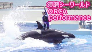 『神戸須磨シーワールド』ORCA performance（20240601） 13：00～