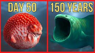 Bloop Evolution  Bloop Life Cycle by Stages