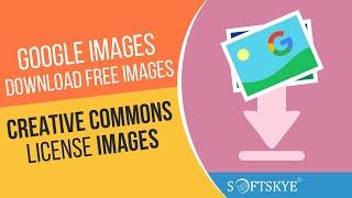 Download FREE Images From Google Images  Creative Commons License Images