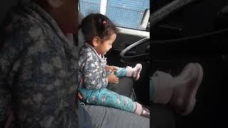 Sophia toca essa kombi pra casa