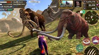 The Wolf-   All Elephant Champion in one video with Maximum Gems  The Wolf Online Simulator. 