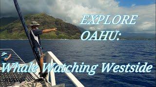 Explore Oahu Whale Watching Westside