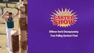 325mm World Championship Tree Felling Contest Final - 14 April